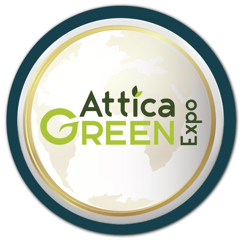 Background Presentation Age 2026 [Recovered]